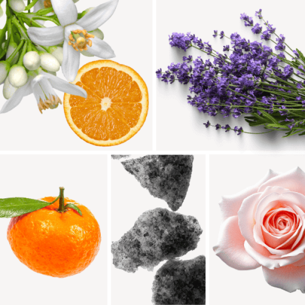 Duftnoten: Orangenblüte, Lavendel, Mandarine, Moschus, Rose