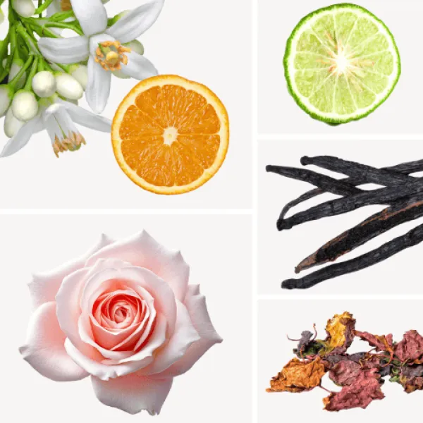 Duftnoten: Orangenblüte, Bergamotte, Rose, Vanille, Patschuli