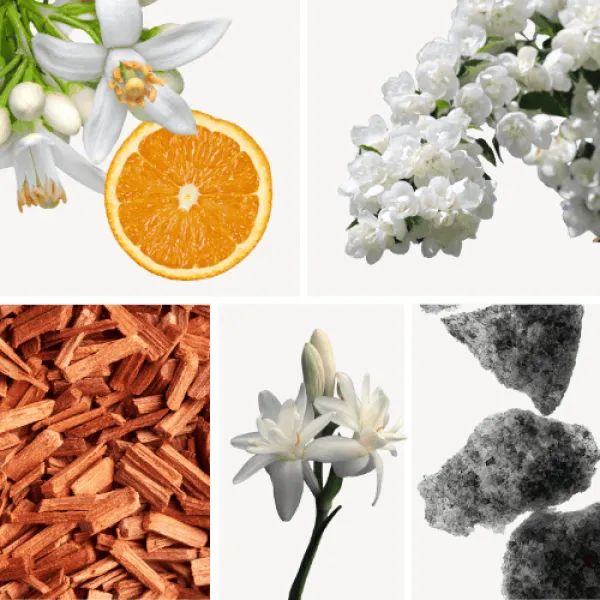 Duftnoten: Orangenblüte, Jamsin, Sandelholz, Moschus, Tuberose Duftnoten: Orangenblüte, Jamsin, Sandelholz, Moschus, Tuberose