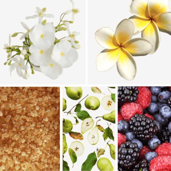 Duftnoten: Gardenie, Frangipani, brauner Zucker, Birne, rote Beeren