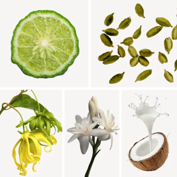 Duftnoten: Bergamotte, Kardamom, Ylang-Ylang, Tuberose, Kokosmilch Duftnoten: Bergamotte, Kardamom, Ylang-Ylang, Tuberose, Kokosmilch