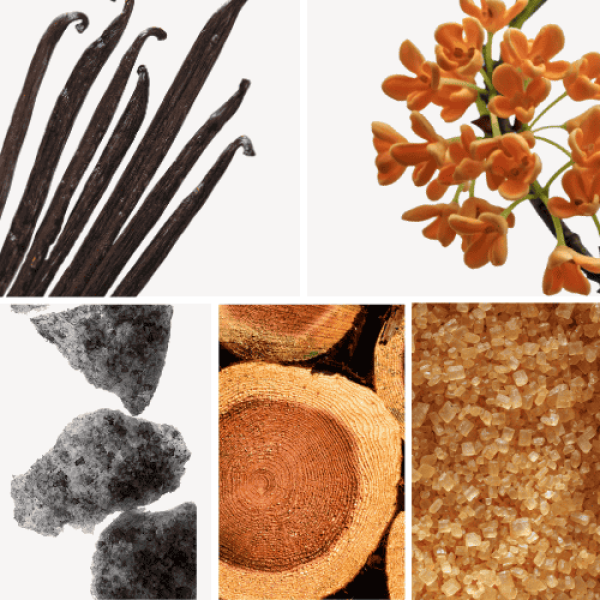 Duftnoten: Vanille, Osmanthus, Moschus, Sandelholz, brauner Zucker