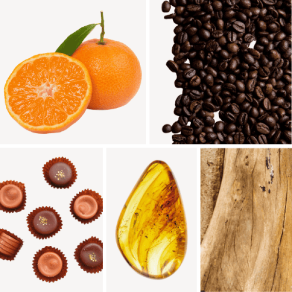 Duftnoten: Mandarine, Kaffee, Praline, Ambra, Sandelholz