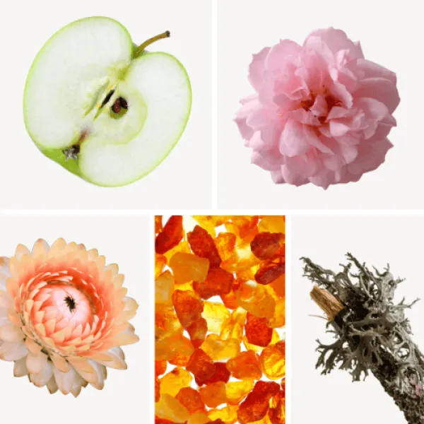 Duftnoten: Apfel, türkische Rose, Strohblume, Ambra, Eichenmoos Duftnoten: Apfel, türkische Rose, Strohblume, Ambra, Eichenmoos