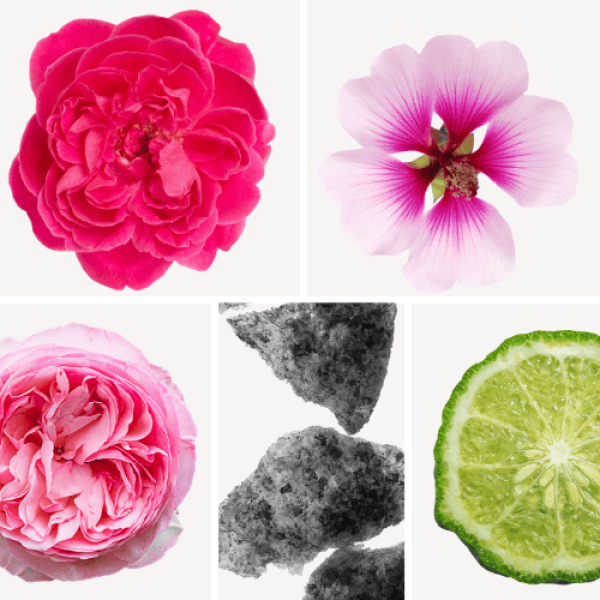 Duftnoten: Damaszener-Rose, Geranie, Grasse-Rose, Moschus, Bergamotte