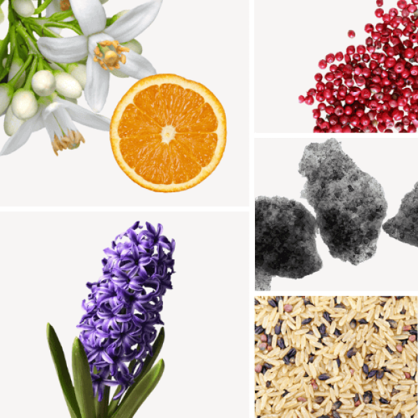 Duftnoten: Orangenblüte, rosa Pfeffer, Moschus, Reis, Hyazinte