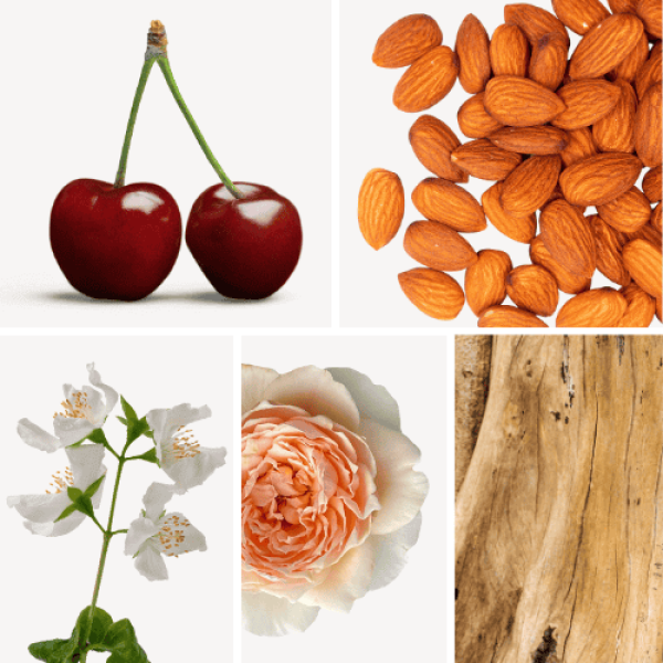 Duftnoten: Kirsche, Mandel, Jasmin, Rose, Sandelholz