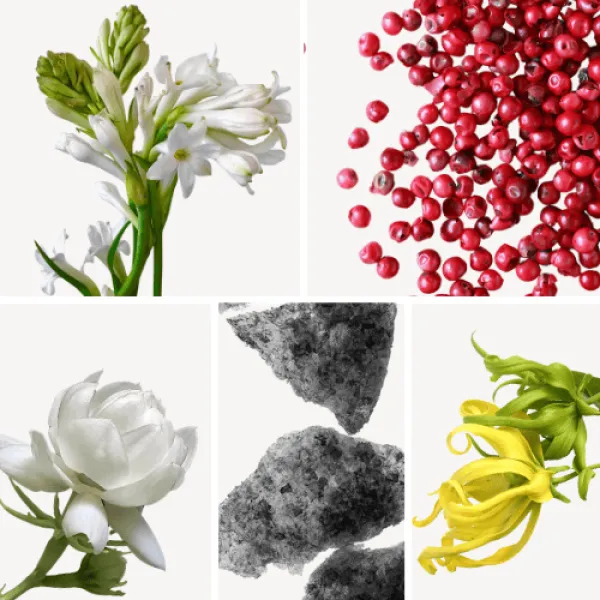 Duftnoten: Jasmin, rosa Pfeffer, Tuberose, Moschus, Ylang-Ylang Duftnoten: Jasmin, rosa Pfeffer, Tuberose, Moschus, Ylang-Ylang