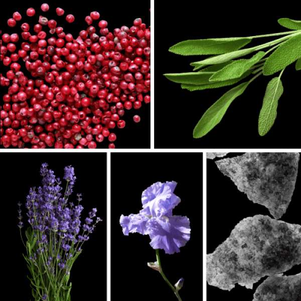 Duftnoten: rosa Pfeffer, Muskatellersalbei, Lavendel, Iris, Moschus