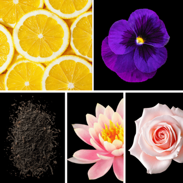Duftnoten: Zitrone, Veilchen, Tee, Lotus, Rose