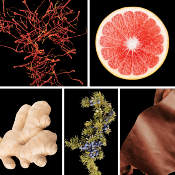 Duftnoten: Ingwer, Safran, Blutorange, Leder, Wacholderbeeren