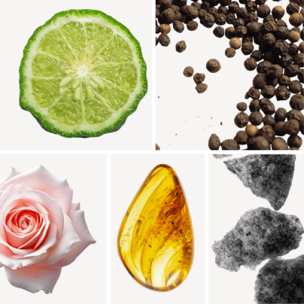 Duftnoten: Pfeffer, Bergamotte, Rose,