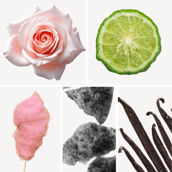 Duftnoten: Rose, Bergamotte, Zuckerwatte, Moschus, Vanille