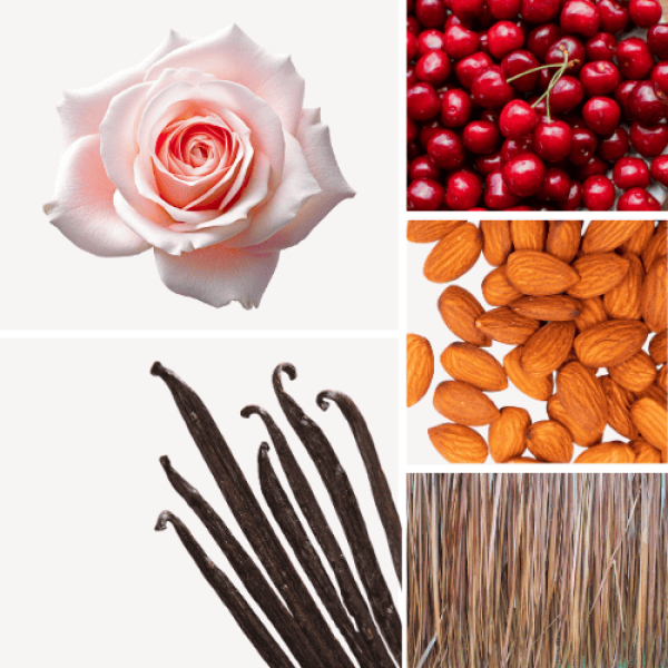 Duftnoten: Rose, Kirsche, Mandel, Vetiver, Vanille