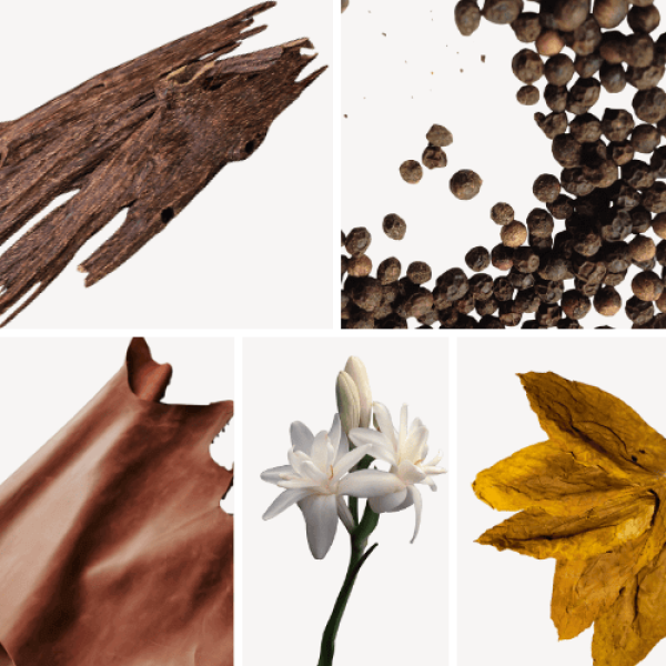 Duftnoten: Oud, Pfeffer, Leder; Tuberose, Tabak
