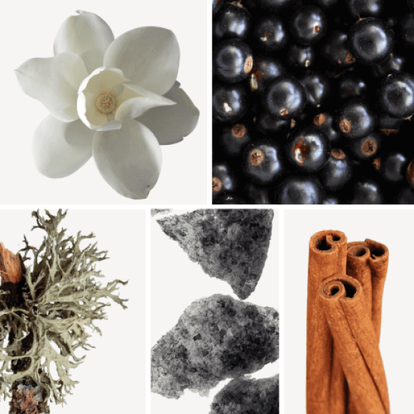 Duftnoten: Magnolie, Vassis, Eichenmoos, Moschus, Zimt