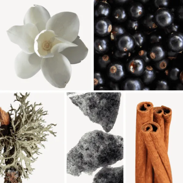 Duftnoten: Magnolie, Vassis, Eichenmoos, Moschus, Zimt