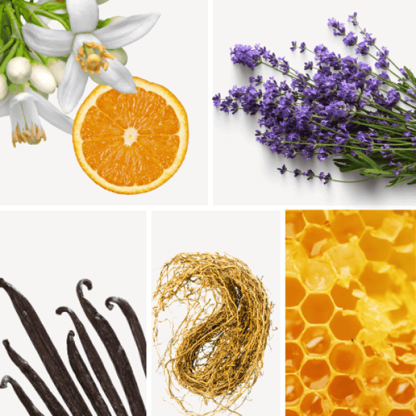 Duftnoten: Lavendel, Vanille, Vetiver, Orangenblüte, Honig