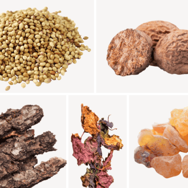 Duftnoten: Koriander, Oud, Muskat, Patschuli, Weihrauch