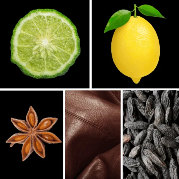 Duftnoten: Bergamotte, Zitrone, Sternanis, Leder, Tonkabohne