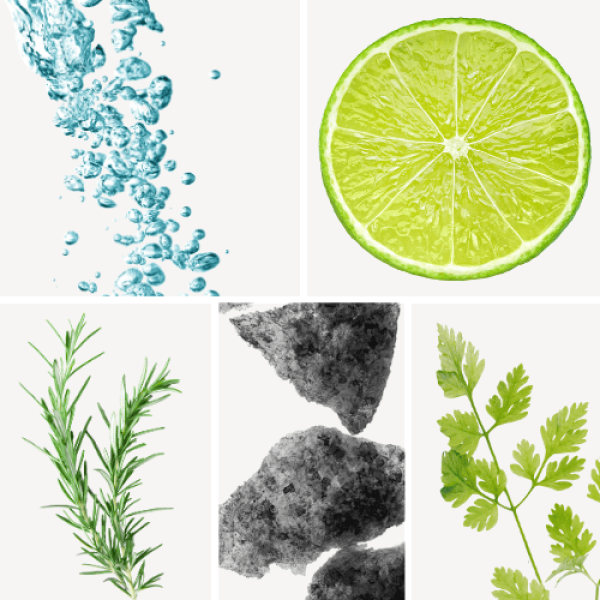 Duftnoten: aquatische Noten, Limette, Rosmarin, Moschus, Koriander