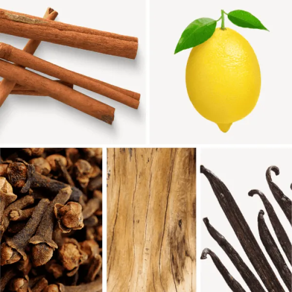 Duftnoten: Zimt, Zitrone, Gewürznelken, Sandelholz, Vanille