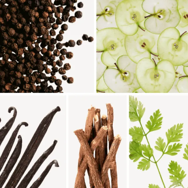 Duftnoten: Pfeffer, Apfel, Vanille, holzige- Noten, Koriander Duftnoten: Pfeffer, Apfel, Vanille, holzige- Noten, Koriander
