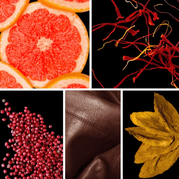 Duftnoten: Grapefruit, Safran, rosa Pfeffer, Leder, Tabak Duftnoten: Grapefruit, Safran, rosa Pfeffer, Leder, Tabak