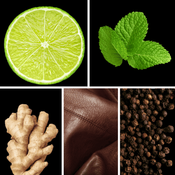 Duftnoten: Limettenkavier, Minze, Ingwer, Leder, Pfeffer