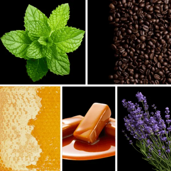 Duftnoten: Minze, Kaffee, Honig, Karamell, Lavendel Duftnoten: Minze, Kaffee, Honig, Karamell, Lavendel
