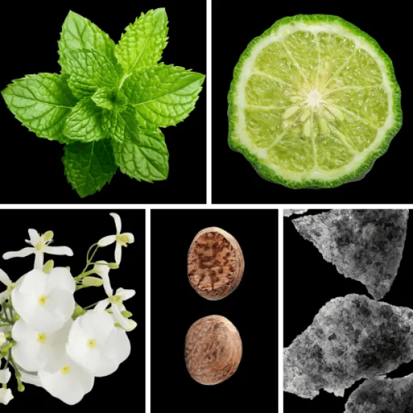 Duftnoten: Minze, Bergamotte, Geranie, Muskat, Moschus Duftnoten: Minze, Bergamotte, Geranie, Muskat, Moschus