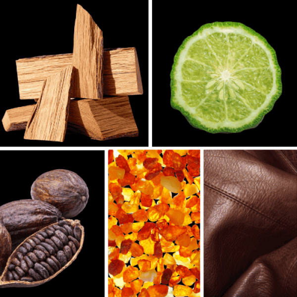 Duftnoten: Zedernholz, Bergamotte, Kakaobohne, Amber, Leder