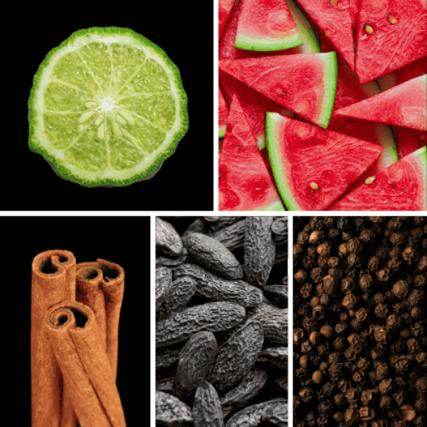 Duftnoten: Bergamotte, Wassermelone, Zimt, Tonkabohne, Pfeffer