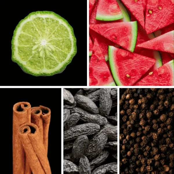Duftnoten: Bergamotte, Wassermelone, Zimt, Tonkabohne, Pfeffer Duftnoten: Bergamotte, Wassermelone, Zimt, Tonkabohne, Pfeffer