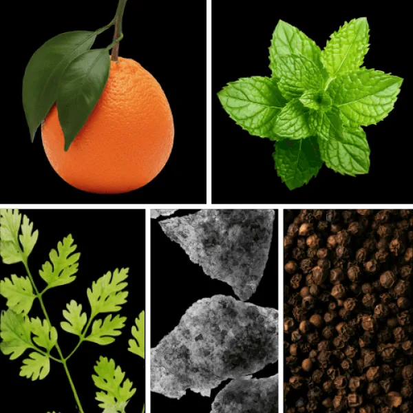 Duftnoten: Mandarine, Minze, Koriander, Moschus, Pfeffer Duftnoten: Mandarine, Minze, Koriander, Moschus, Pfeffer