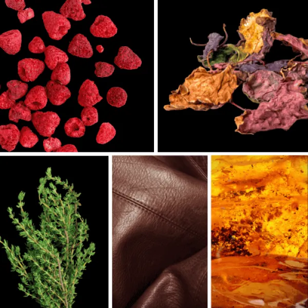 Duftnoten: Himbeere, Patchouli, Thymian, Leder, Ambra