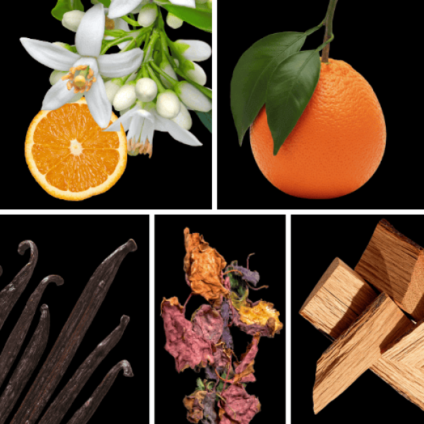 Duftnoten: Orangenblüte, Mandarine, Vanille, Patchouli, Sandelholz