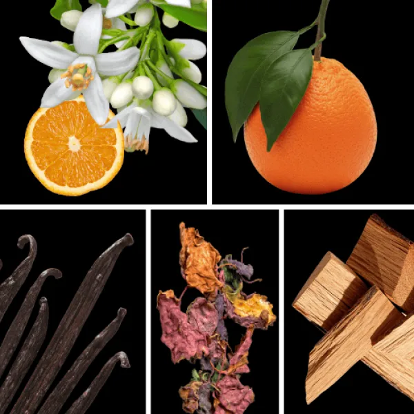 Duftnoten: Orangenblüte, Mandarine, Vanille, Patchouli, Sandelholz Duftnoten: Orangenblüte, Mandarine, Vanille, Patchouli, Sandelholz