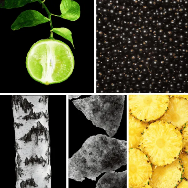 Duftnoten: Bergamotte, schwarze Johannisbeere, Birke, Moschus, Ananas