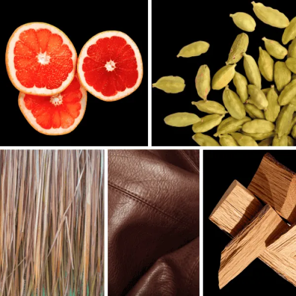 Duftnoten: Bitterorange, Kardamom, Vetiver, Leder, Zederholz Duftnoten: Bitterorange, Kardamom, Vetiver, Leder, Zederholz