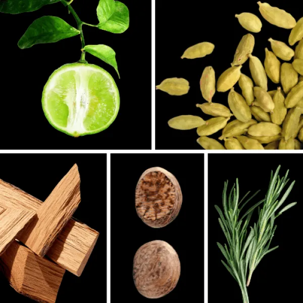 Duftnoten: Bergamotte, Kardamom, Sandelholz, Muskat, Rosmarin