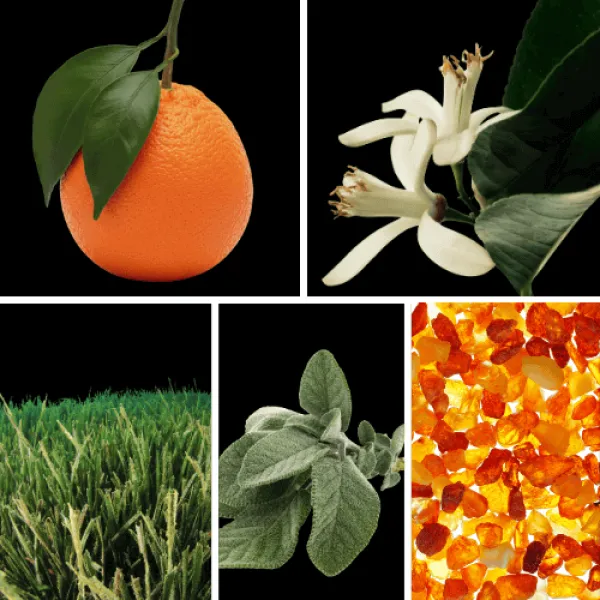 Duftnoten: Mandarine, Petitgrain, Salbei, Amber