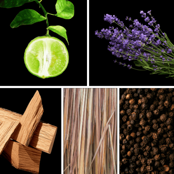 Duftnoten: Bergamotte, Lavendel, Sandelholz, Vetiver, Sichuan-Pfeffer