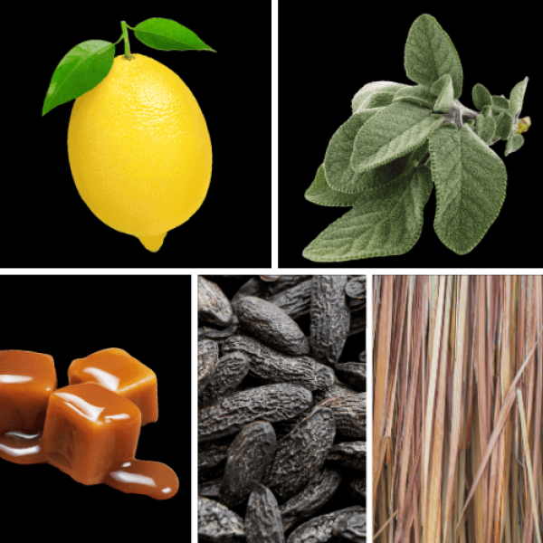 Duftnoten: Zitrus- Noten, Salbei, Karamell, Tonkabohne, Vetiver