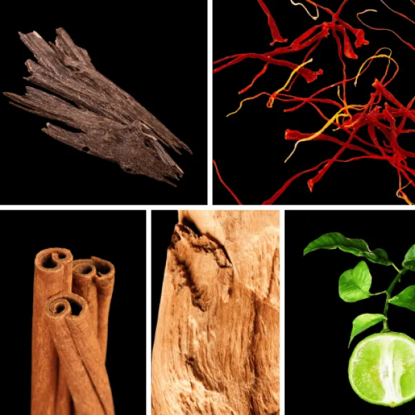 Duftnoten: Oud, Safran, Zimt, Sandelholz, Bergamotte Duftnoten: Oud, Safran, Zimt, Sandelholz, Bergamotte