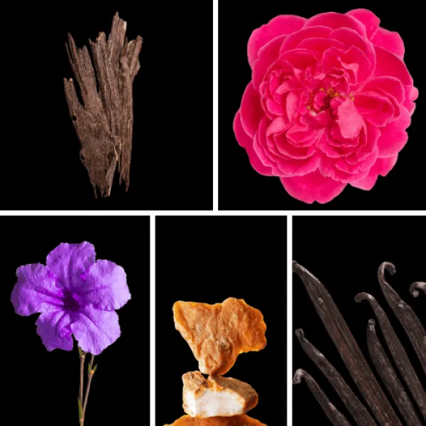 Duftnoten: Damaszener Rose, Oud, Vielchen, Benzoe, Vanille