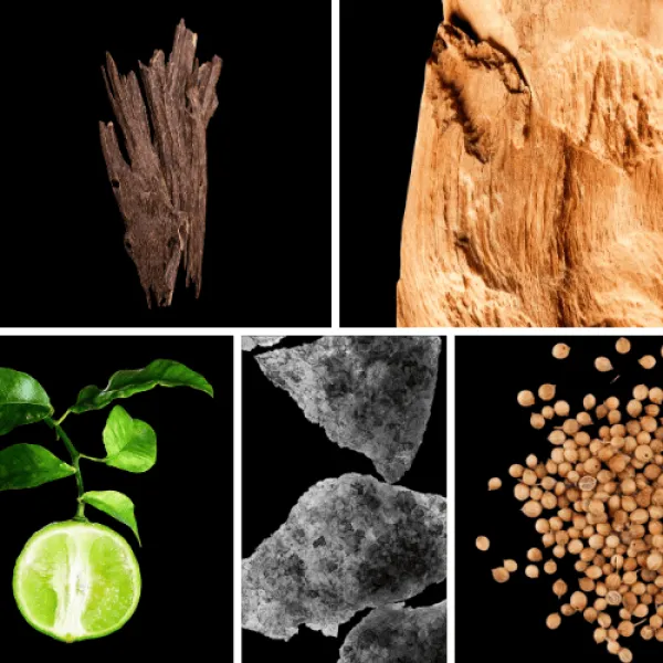 Duftnoten: Oud, Sandelholz, Bergamotte, Moschus, Koriander Duftnoten: Oud, Sandelholz, Bergamotte, Moschus, Koriander