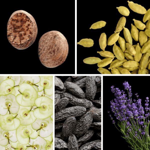 Duftnoten: Muskat, Kardamom, Apfel, Tonkabohne, Lavendel