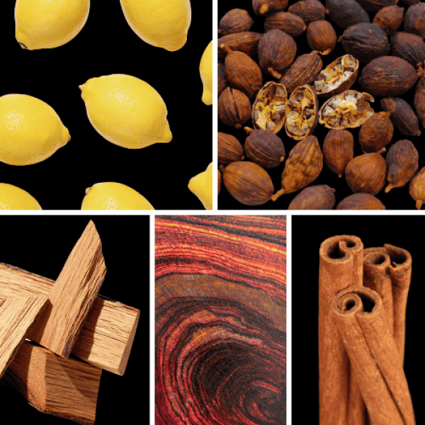 Duftnoten: kalabrische Zitrone, schwarzer Kardamom, Zimt, Rosenholz