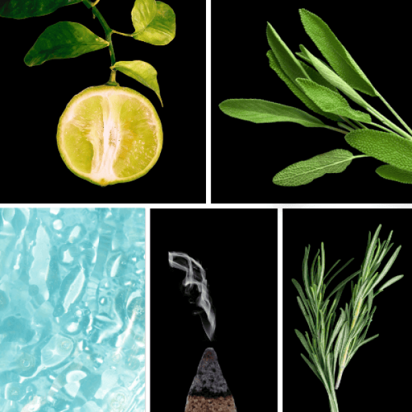 Duftnoten: Bergamotte, Salbei, aquatische Noten, Weihrauch, Rosmarin